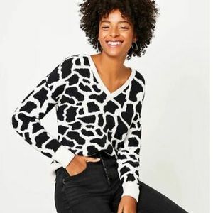 Super soft LOFT sweater